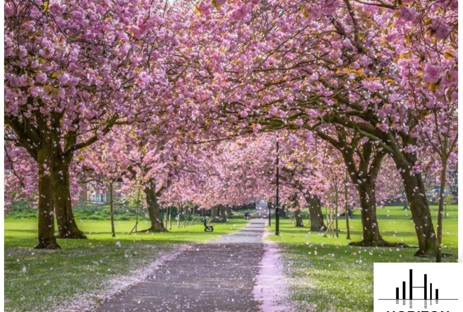 Business Stays - Relocating - Central Location Harrogate Appartement